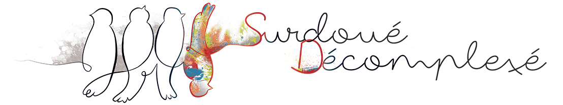 Surdoué adulte décomplexé